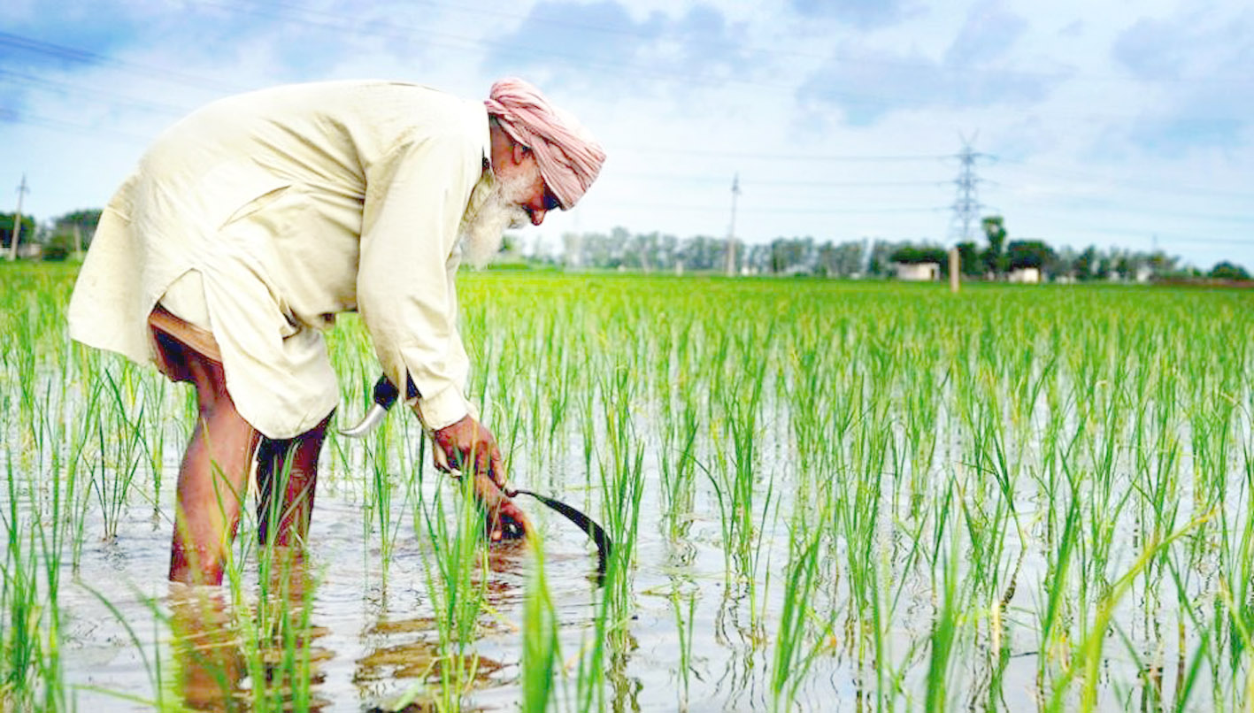 Farmers