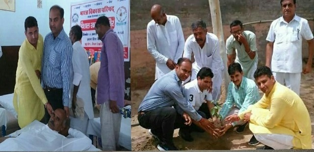 Blood donation camp and trees planted