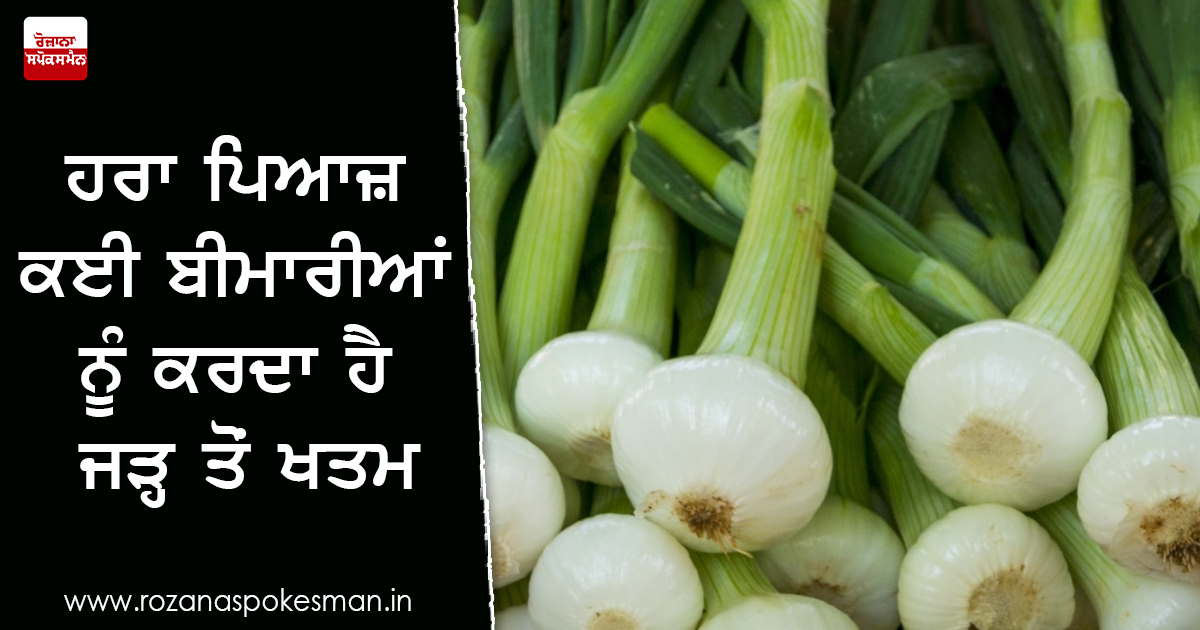 ਹਰਾ ਪਿਆਜ਼ ਬੜਾ ਹੀ ਫਾਇਦੇਮੰਦ ਹਰਾ ਪਿਆਜ਼ ਬੜਾ ਹੀ ਫਾਇਦੇਮੰਦ