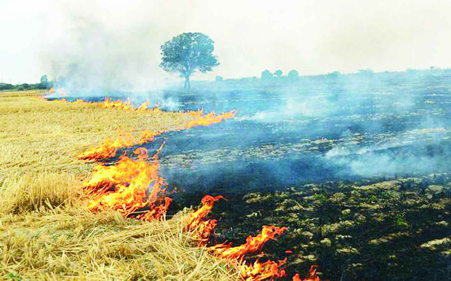 Stubble burning Stubble burning
