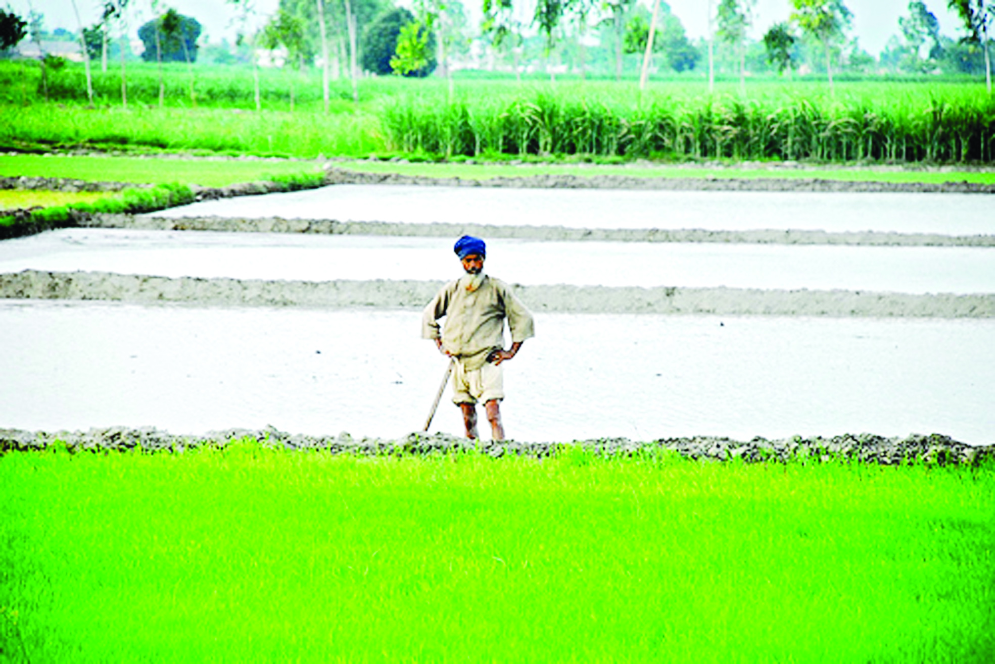Farmers Farmers