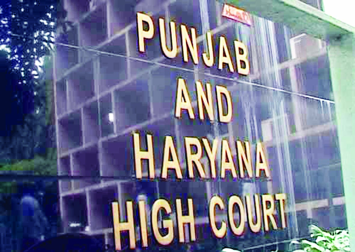 high court high court