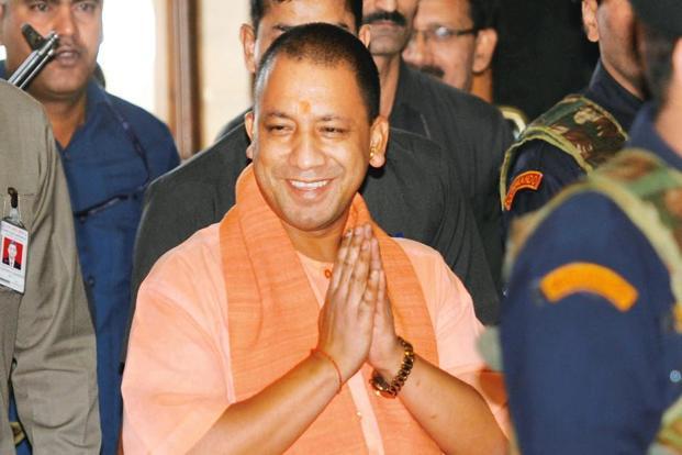 Yogi