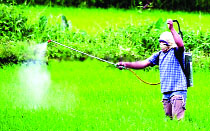 Pesticide Pesticide