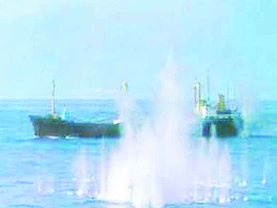 Navy Navy